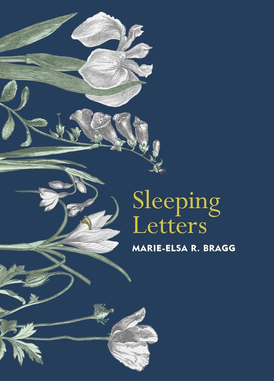 Sleeping Letters | Marie-Elsa Bragg