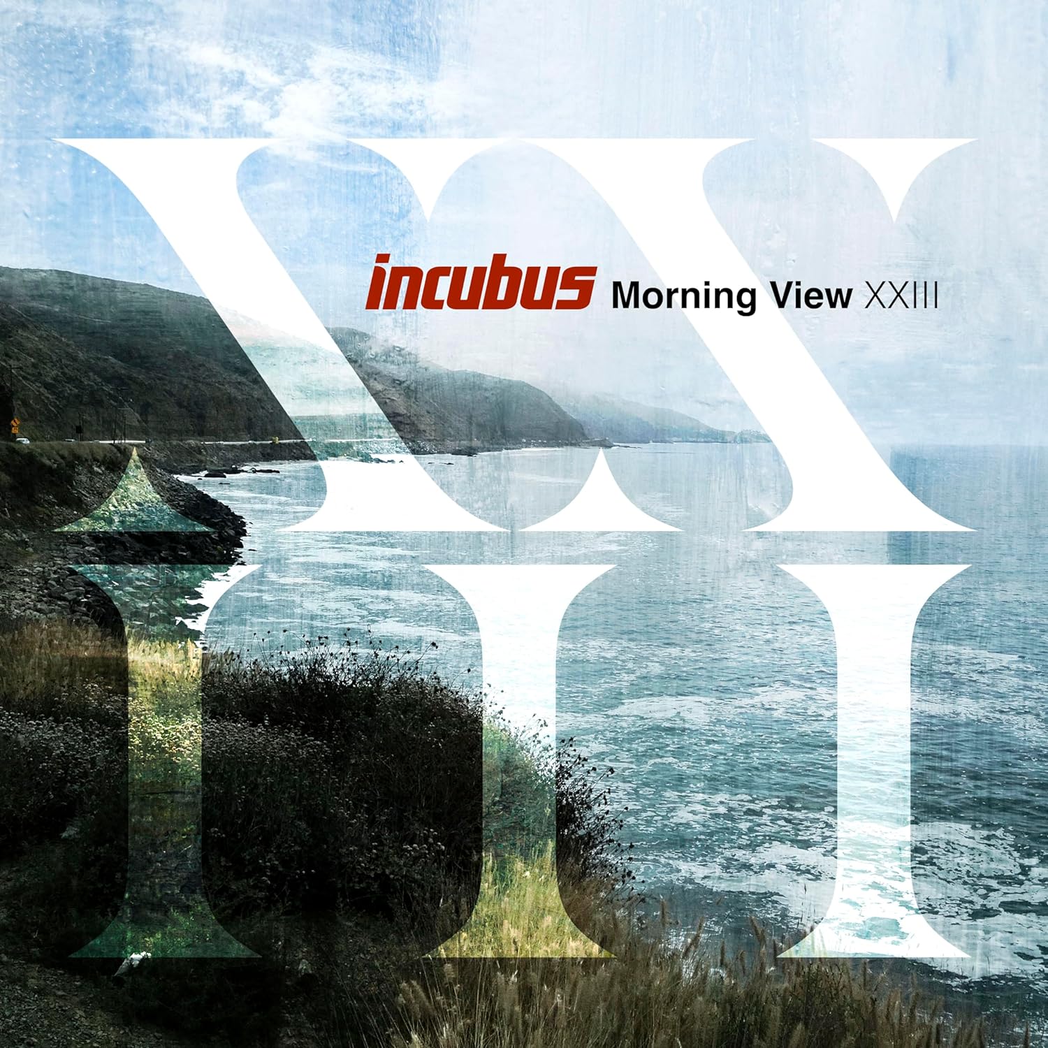 Morning View XXIII (Blue Vinyl) | Incubus - 1 | YEO