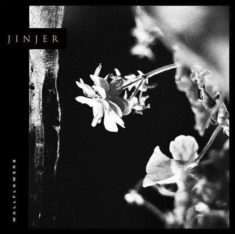 Wallflowers - Vinyl | Jinjer