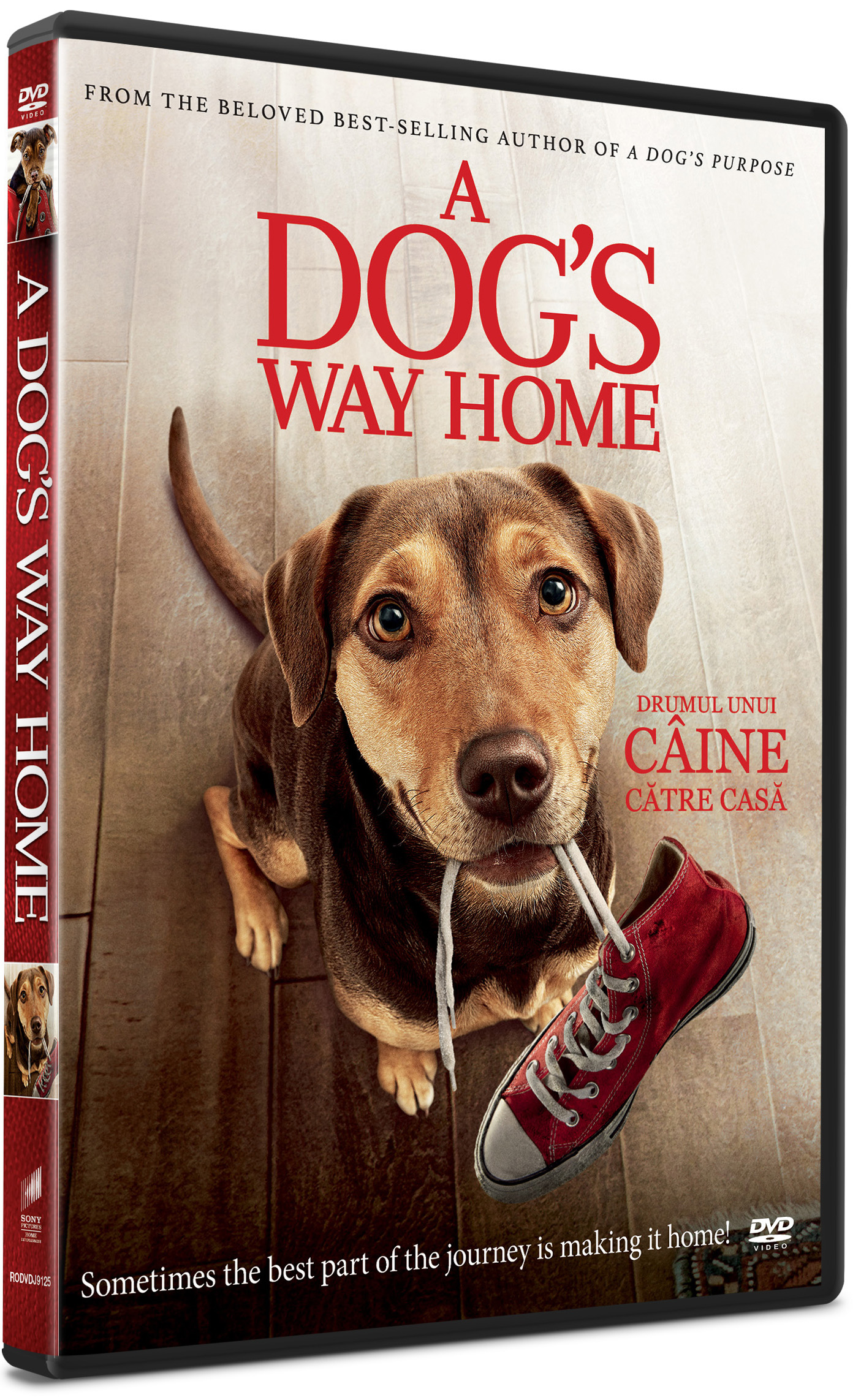 Drumul unui caine catre casa / A Dog's Way Home | Charles Martin Smith