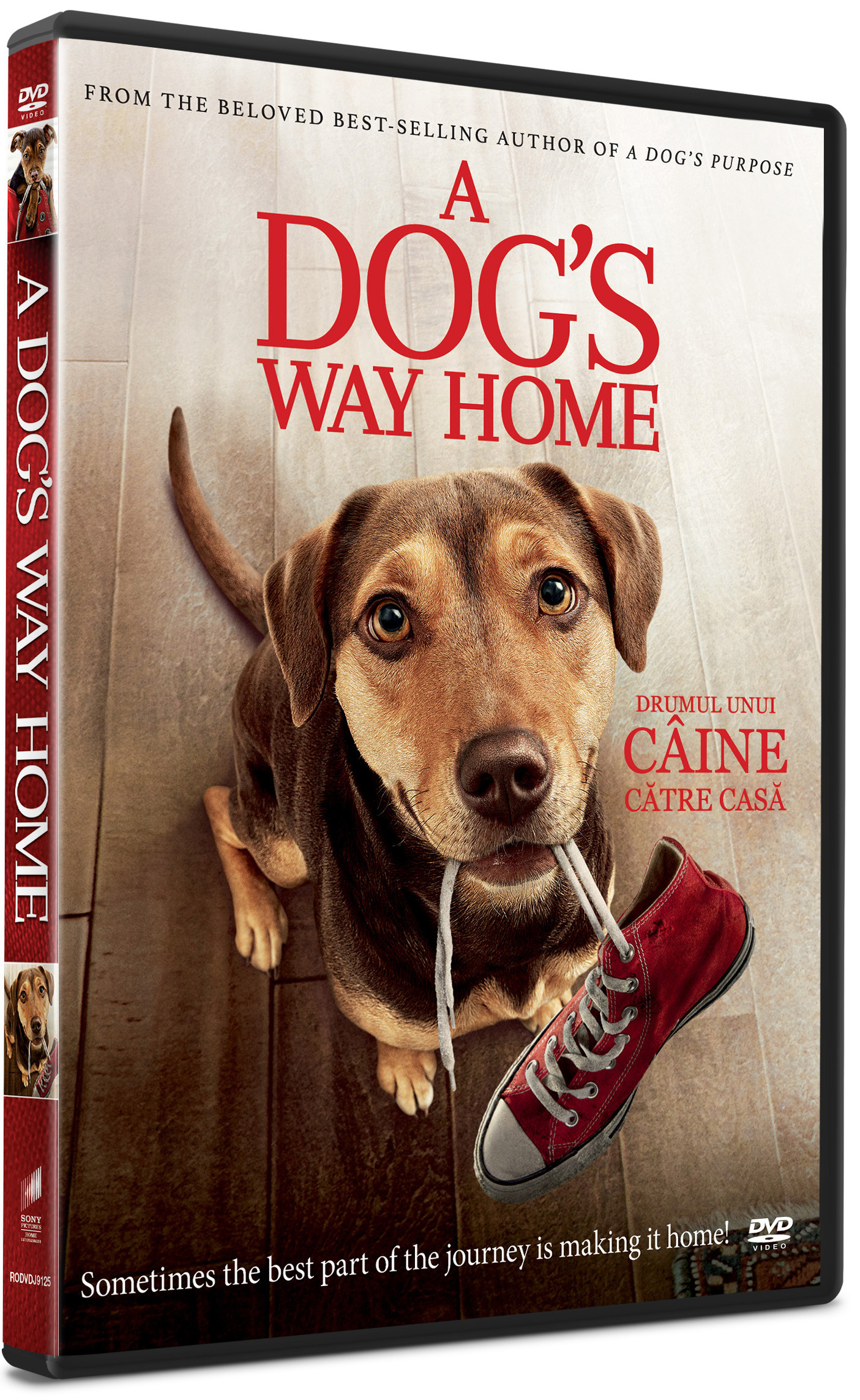 Drumul unui caine catre casa / A Dog\'s Way Home | Charles Martin Smith