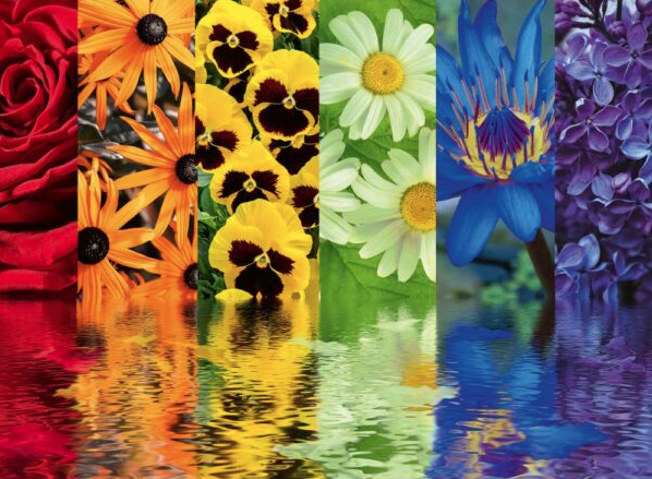 Puzzle 500 piese - Floral Reflections | Ravensburger