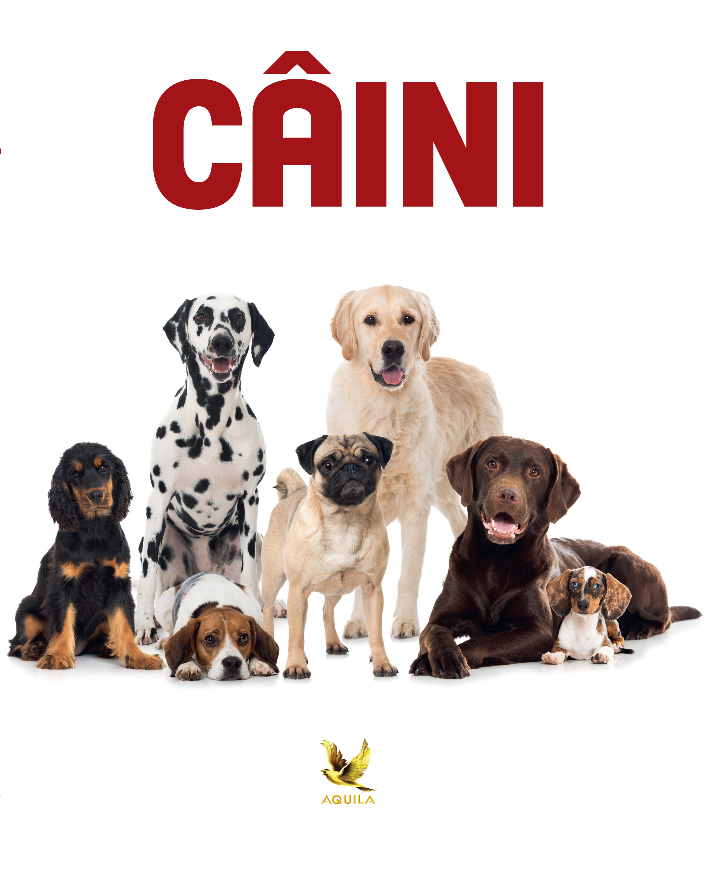 Caini | Aquila poza bestsellers.ro