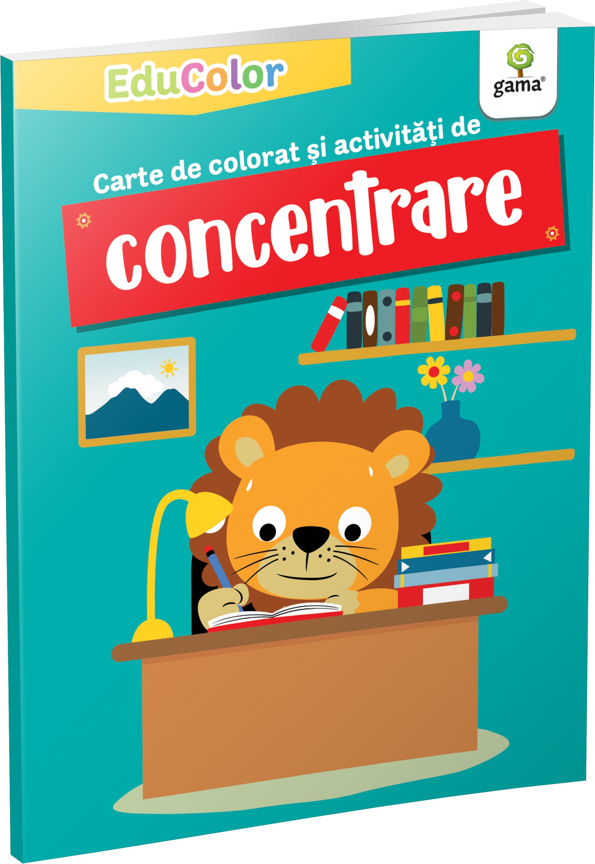 Carte de colorat si activitati de concentrare |