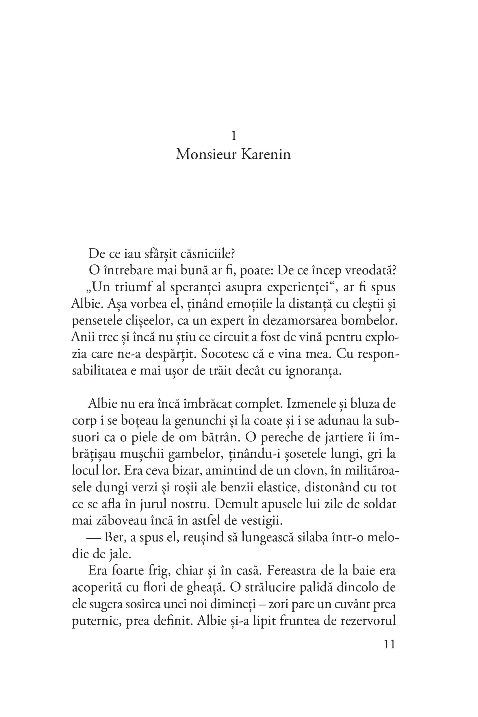 Monsieur Karenin | Vesna Goldsworthy - 1