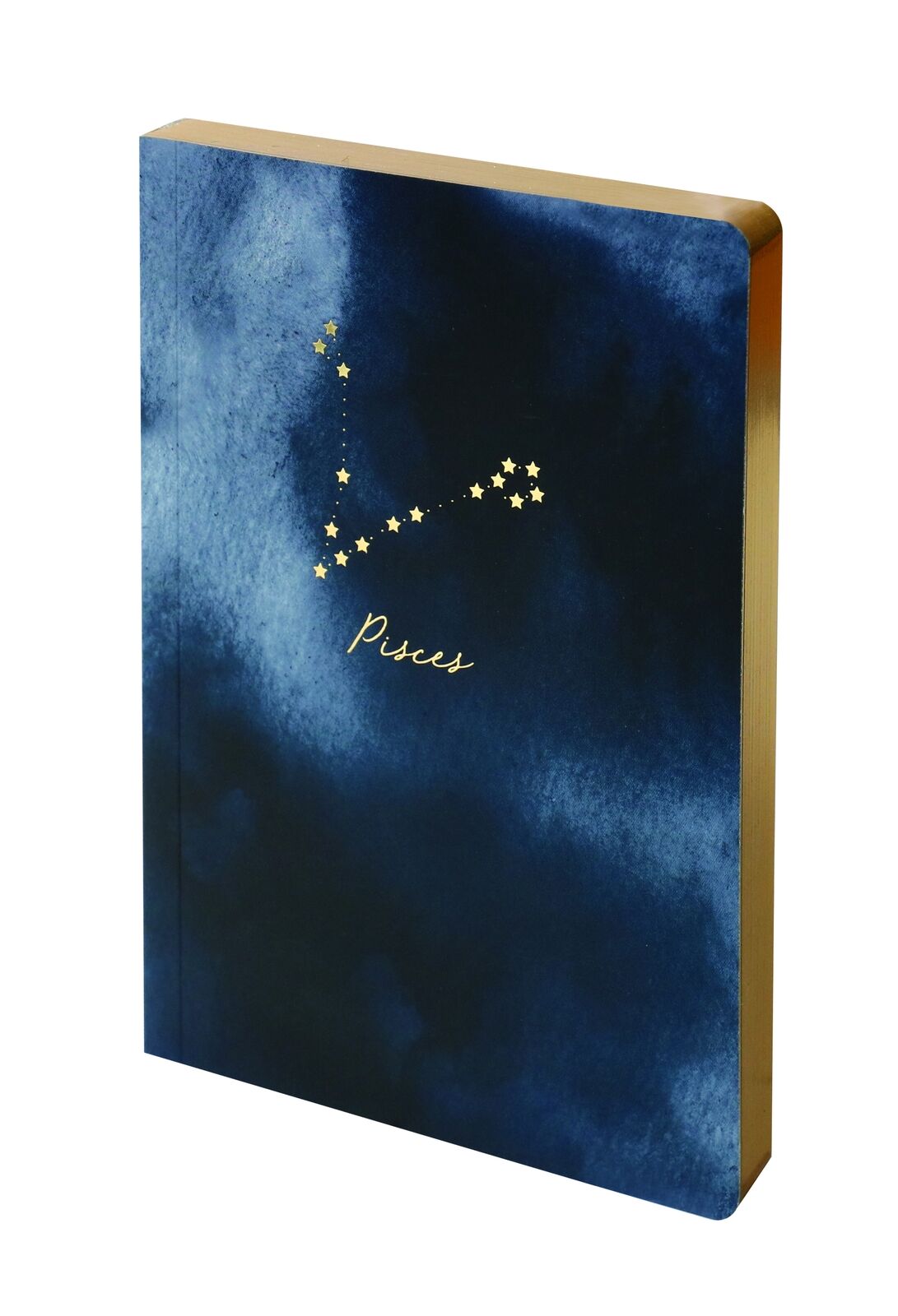 Carnet - Constellation - Pisces | Portico Designs