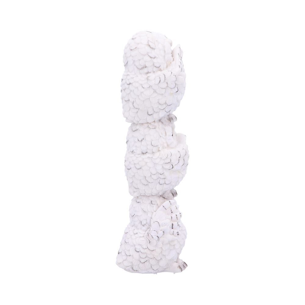 Figurina - Three Wise White Owls | Nemesis Now - 2 | YEO