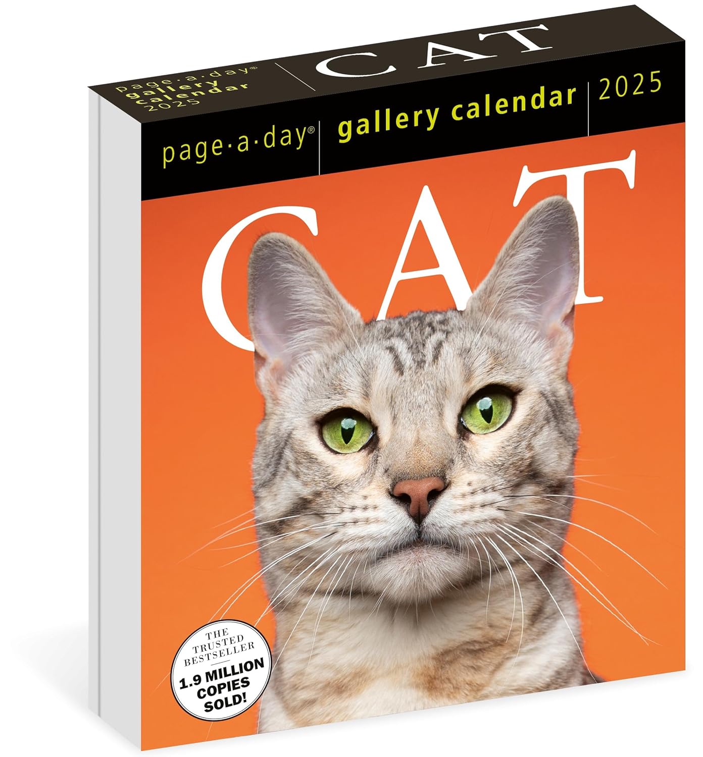 Calendar 2025 - Cat - Page-A-Day | Workman Publishing - 6 | YEO