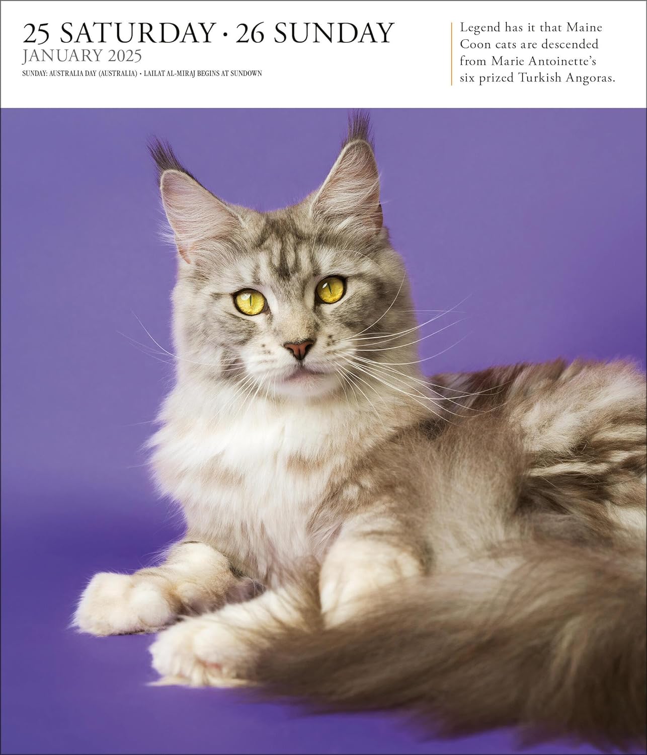 Calendar 2025 - Cat - Page-A-Day | Workman Publishing - 2 | YEO