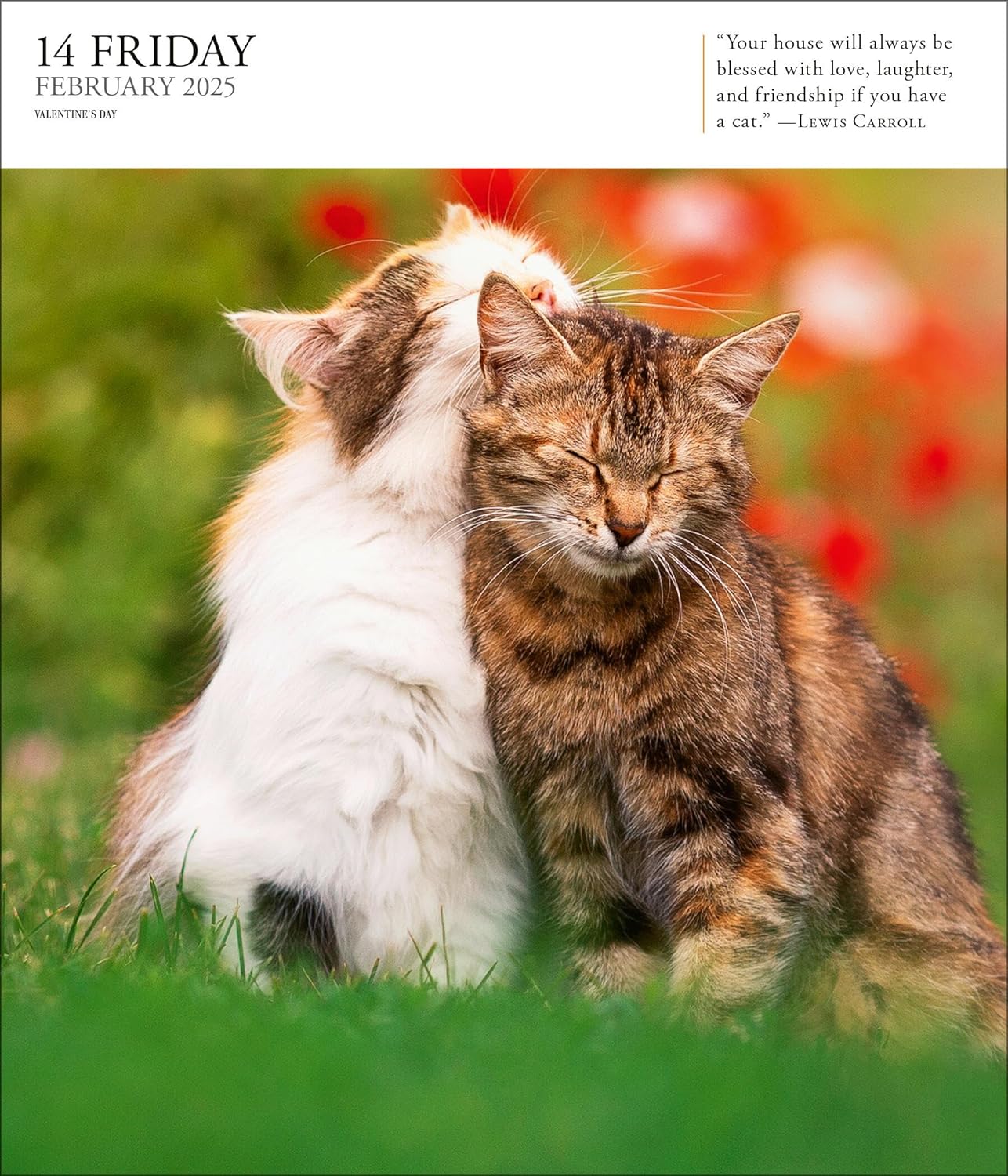 Calendar 2025 - Cat - Page-A-Day | Workman Publishing - 3 | YEO