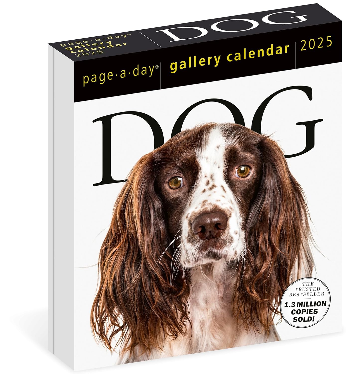 Calendar 2025 - Dog - Page-A-Day | Workman Publishing - 6 | YEO