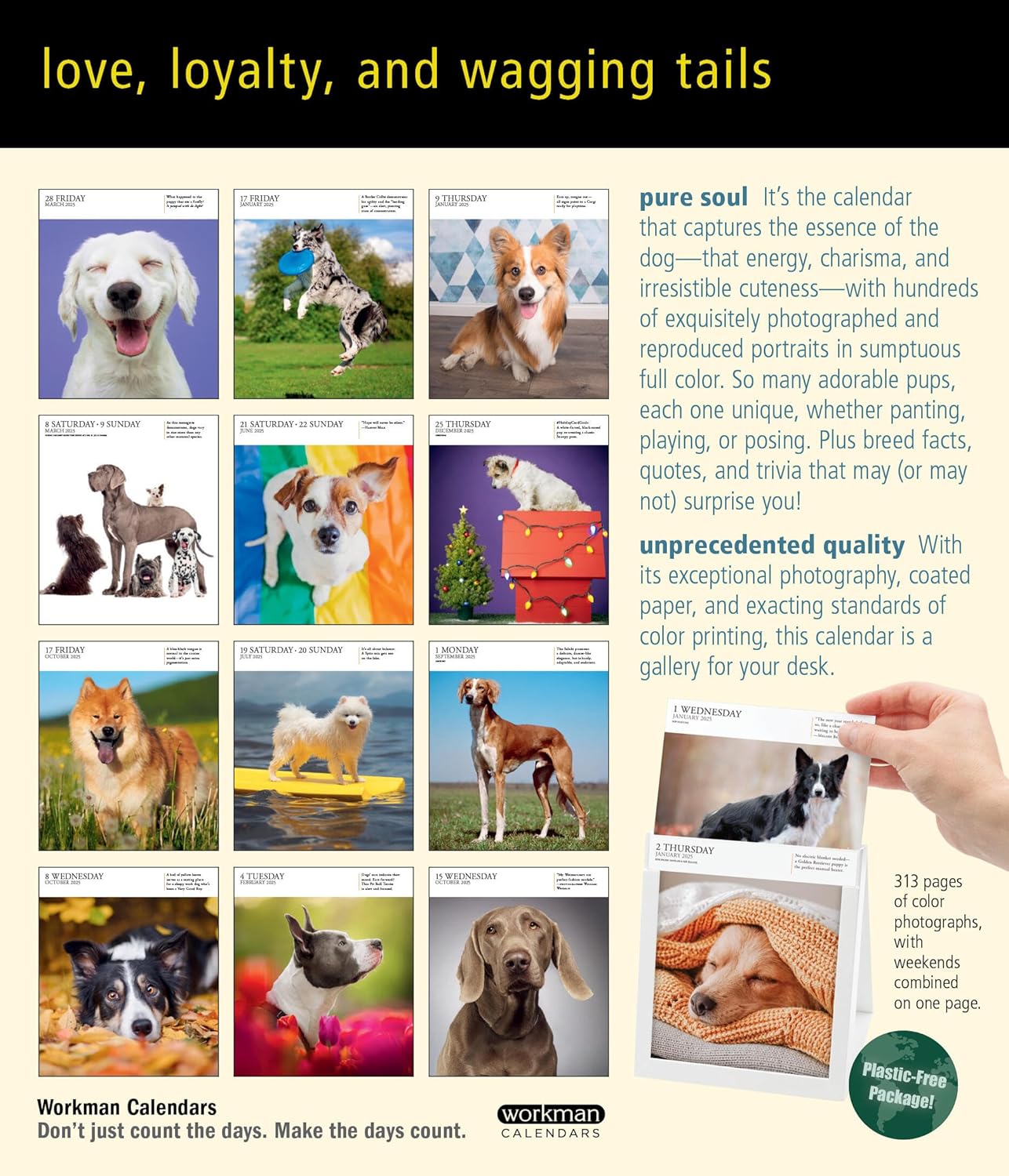 Calendar 2025 - Dog - Page-A-Day | Workman Publishing