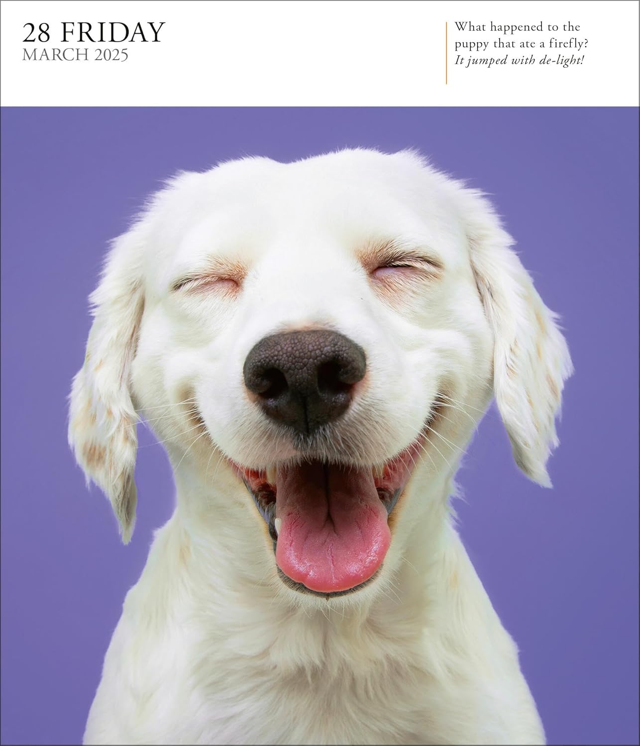 Calendar 2025 - Dog - Page-A-Day | Workman Publishing - 4 | YEO