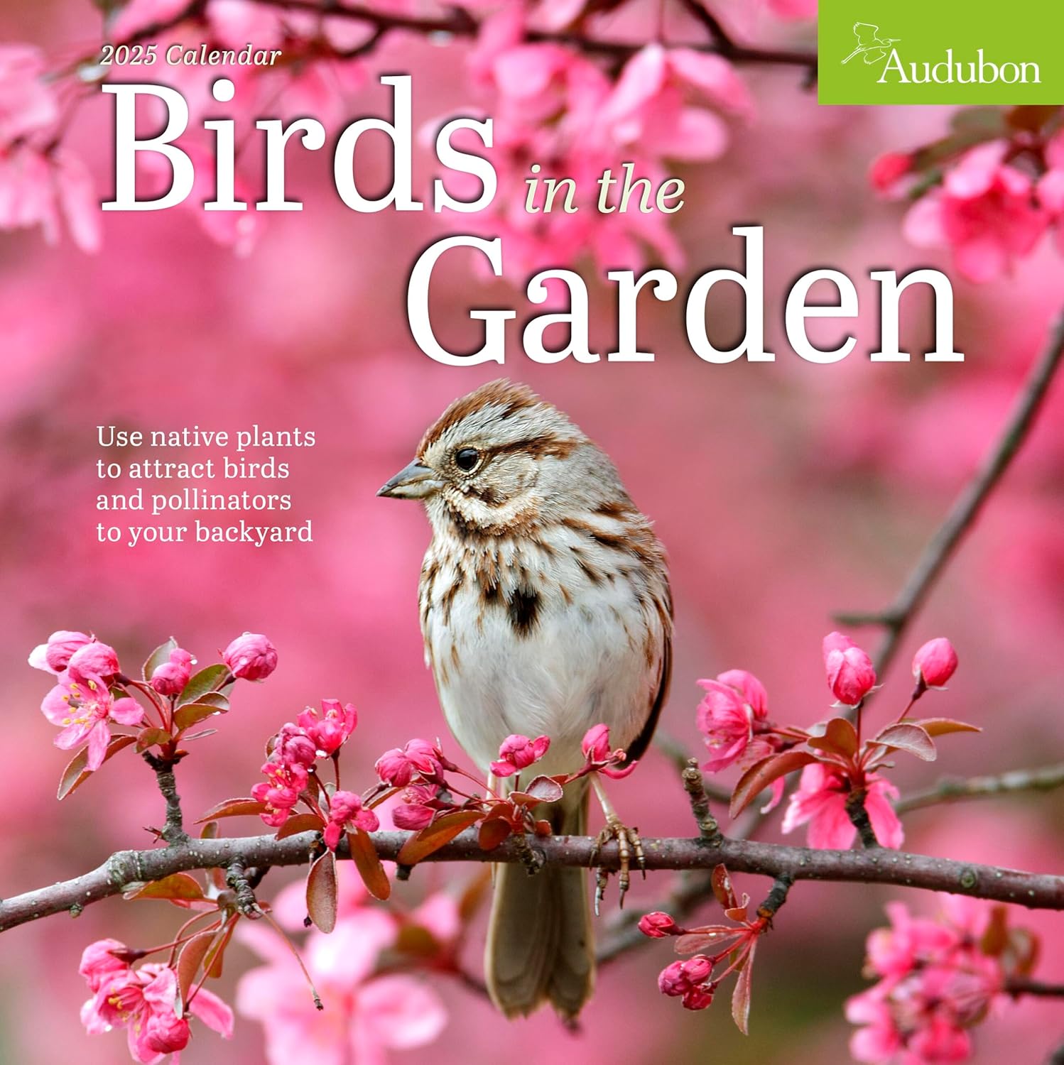 Calendar 2025 - Audubon Birds in the Garden | Workman Publishing - 4 | YEO