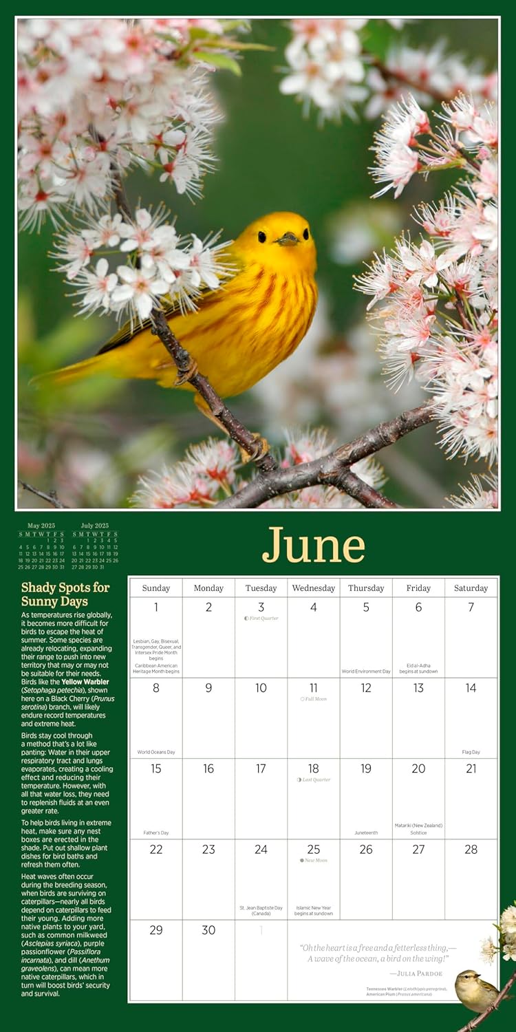 Calendar 2025 - Audubon Birds in the Garden | Workman Publishing - 1 | YEO