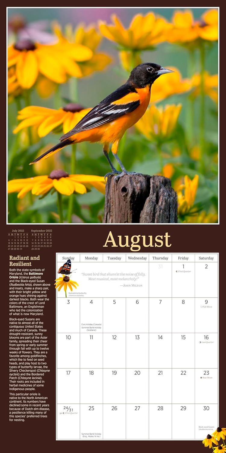 Calendar 2025 - Audubon Birds in the Garden | Workman Publishing - 2 | YEO