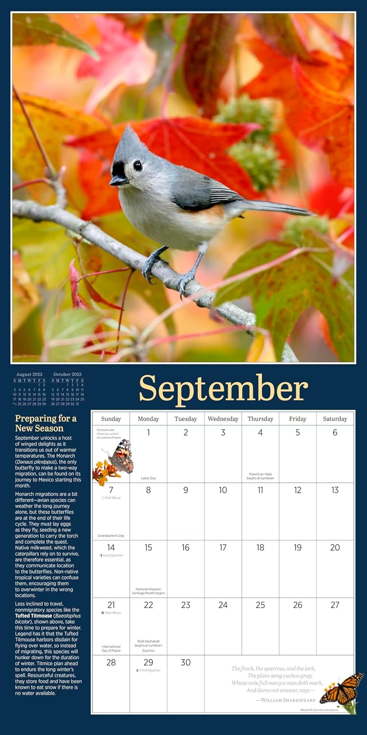 Calendar 2025 - Audubon Birds in the Garden | Workman Publishing - 3 | YEO