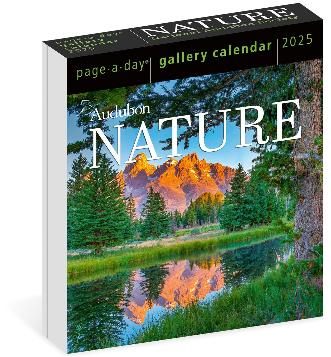 Calendar 2025 - Audubon Nature - Page-A-Day | Workman Publishing - 6 | YEO