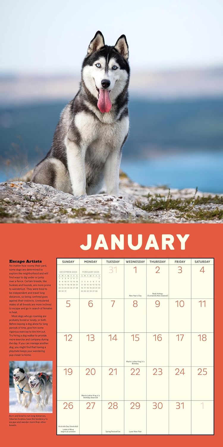 Calendar 2025 - How to Speak Dog | Workman Publishing - 1 | YEO