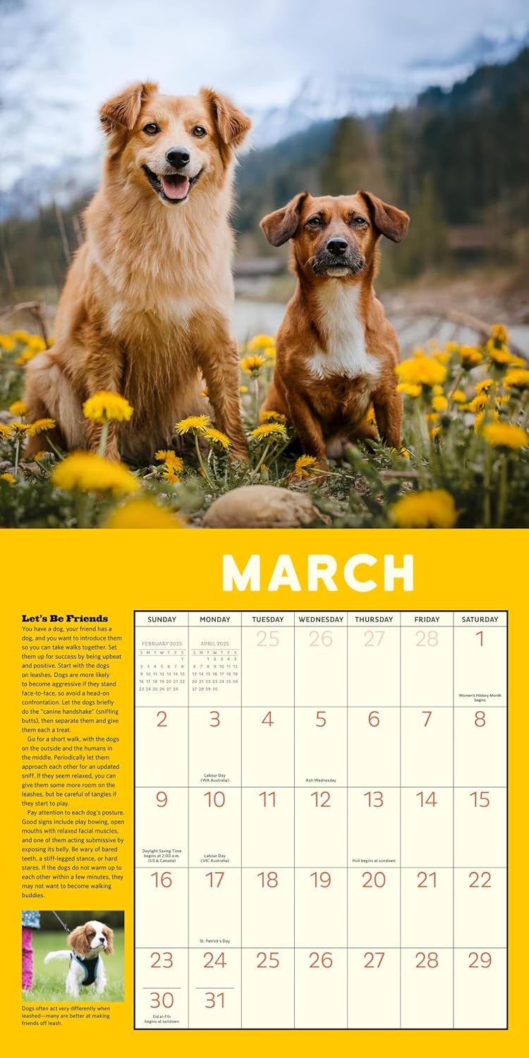 Calendar 2025 - How to Speak Dog | Workman Publishing - 2 | YEO