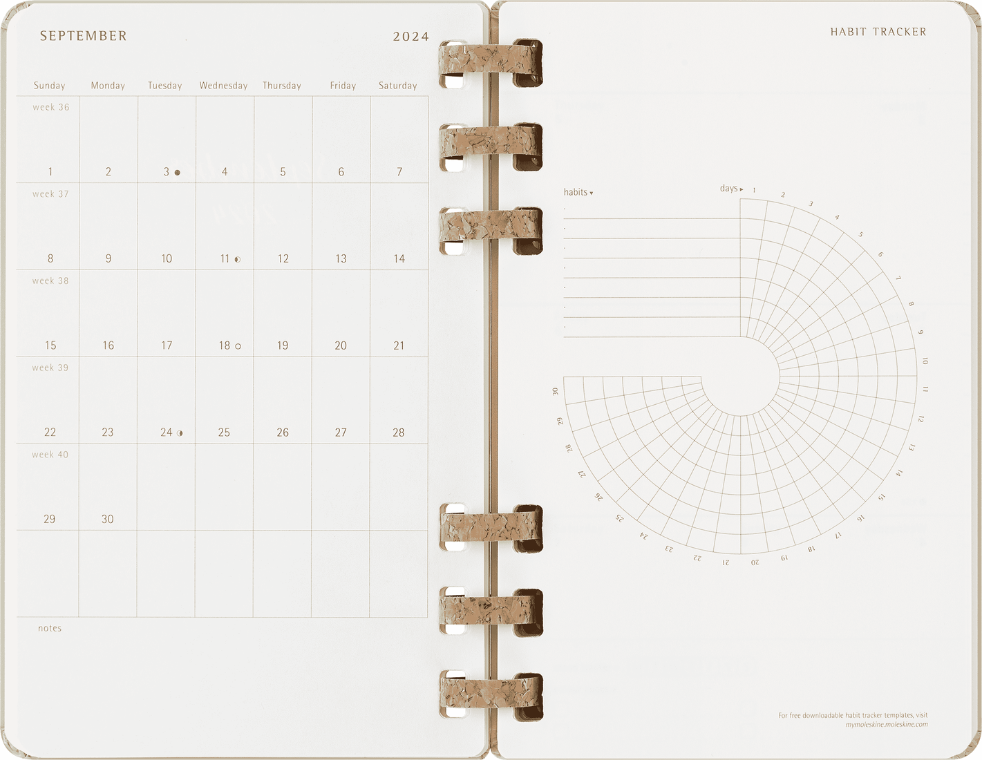 Agenda 2024/2025 - Student Life 12-Month Diary - Large, Hard Cover, Spiral - Kiwi | Moleskine - 6 | YEO