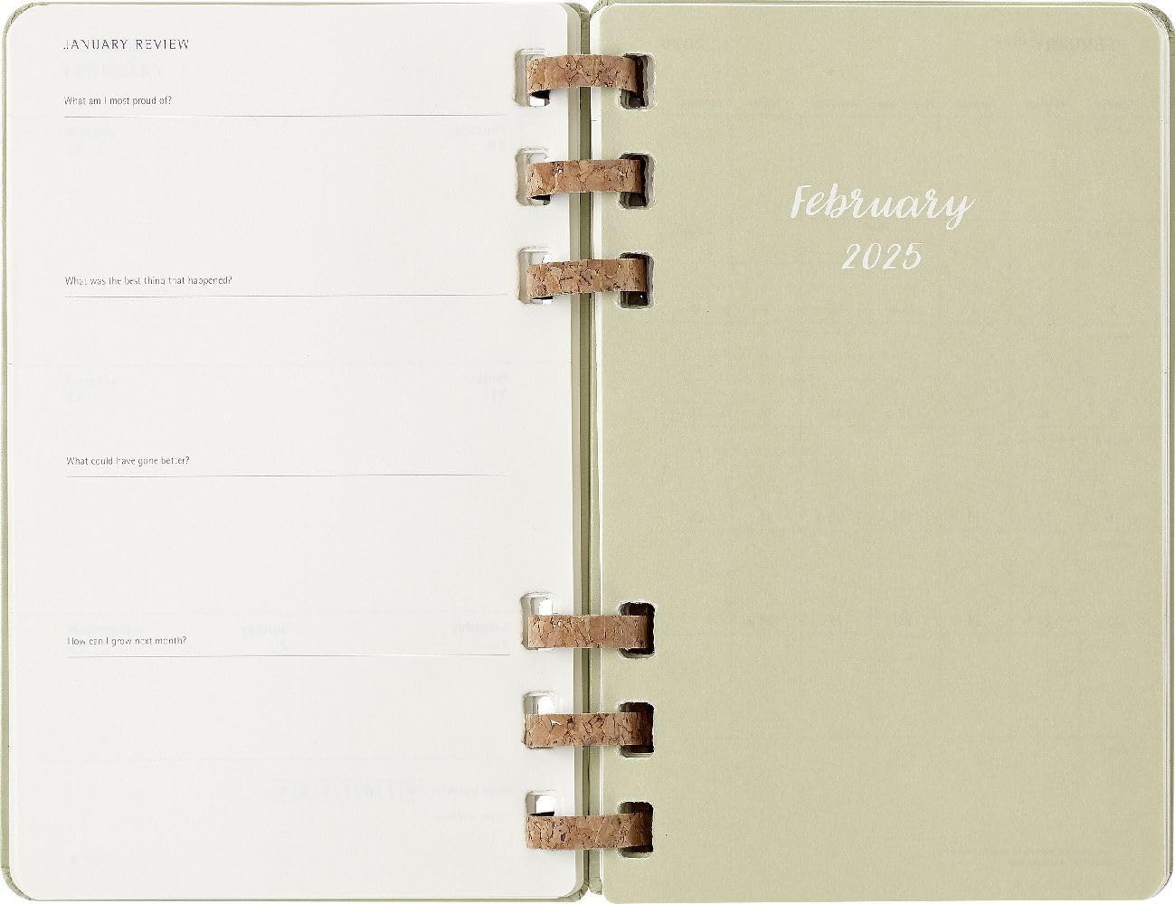 Agenda 2025 - Moleskine Spiral 12 Month - Weekly and Monthly Life Planner - Large - Hard Cover, Kiwi | Moleskine - 3 | YEO