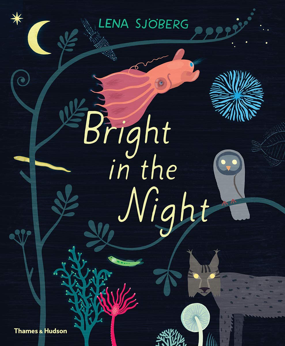 Bright in the Night | Lena Sjoberg