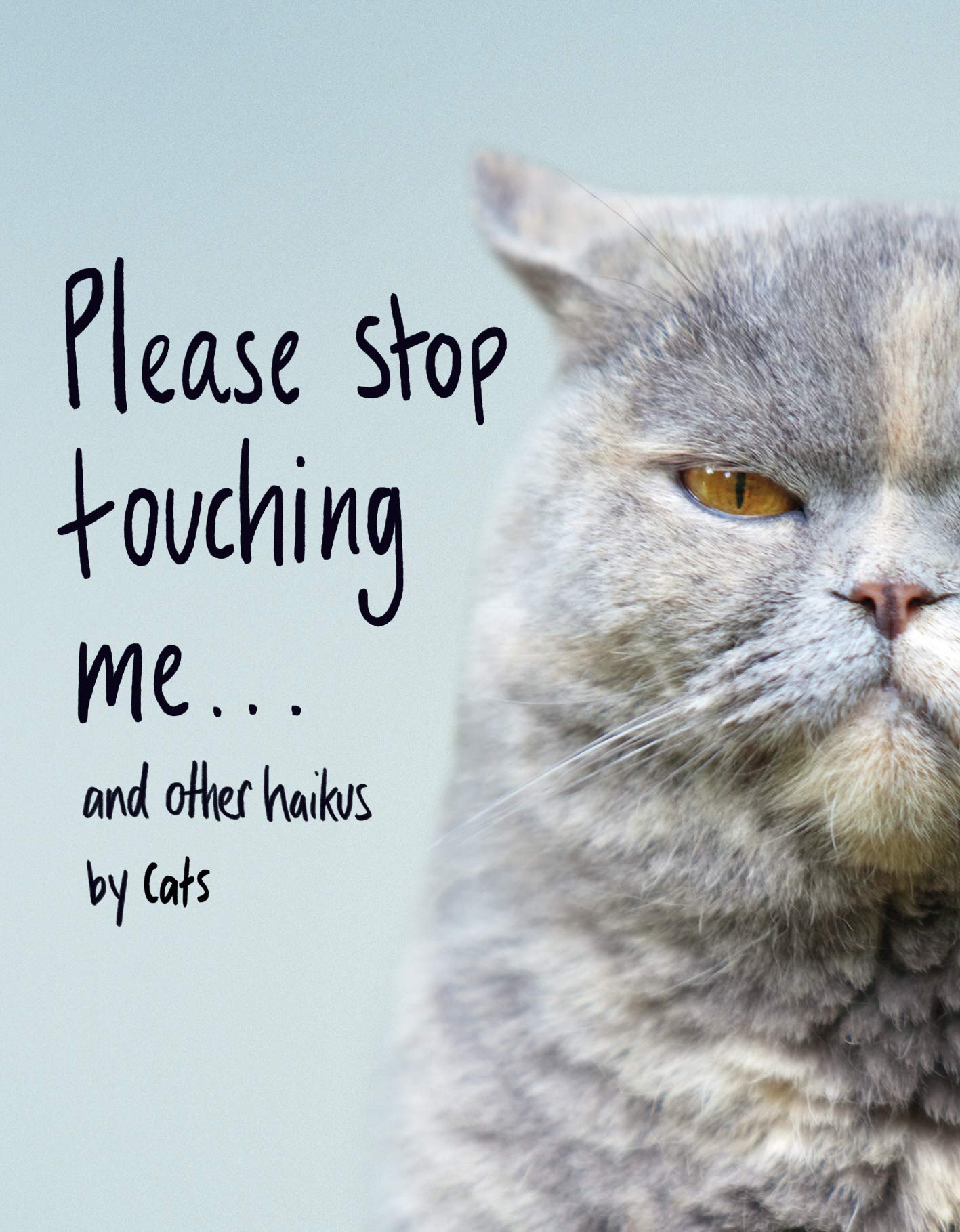 Please Stop Touching Me ... and Other Haikus by Cats | Jamie Coleman