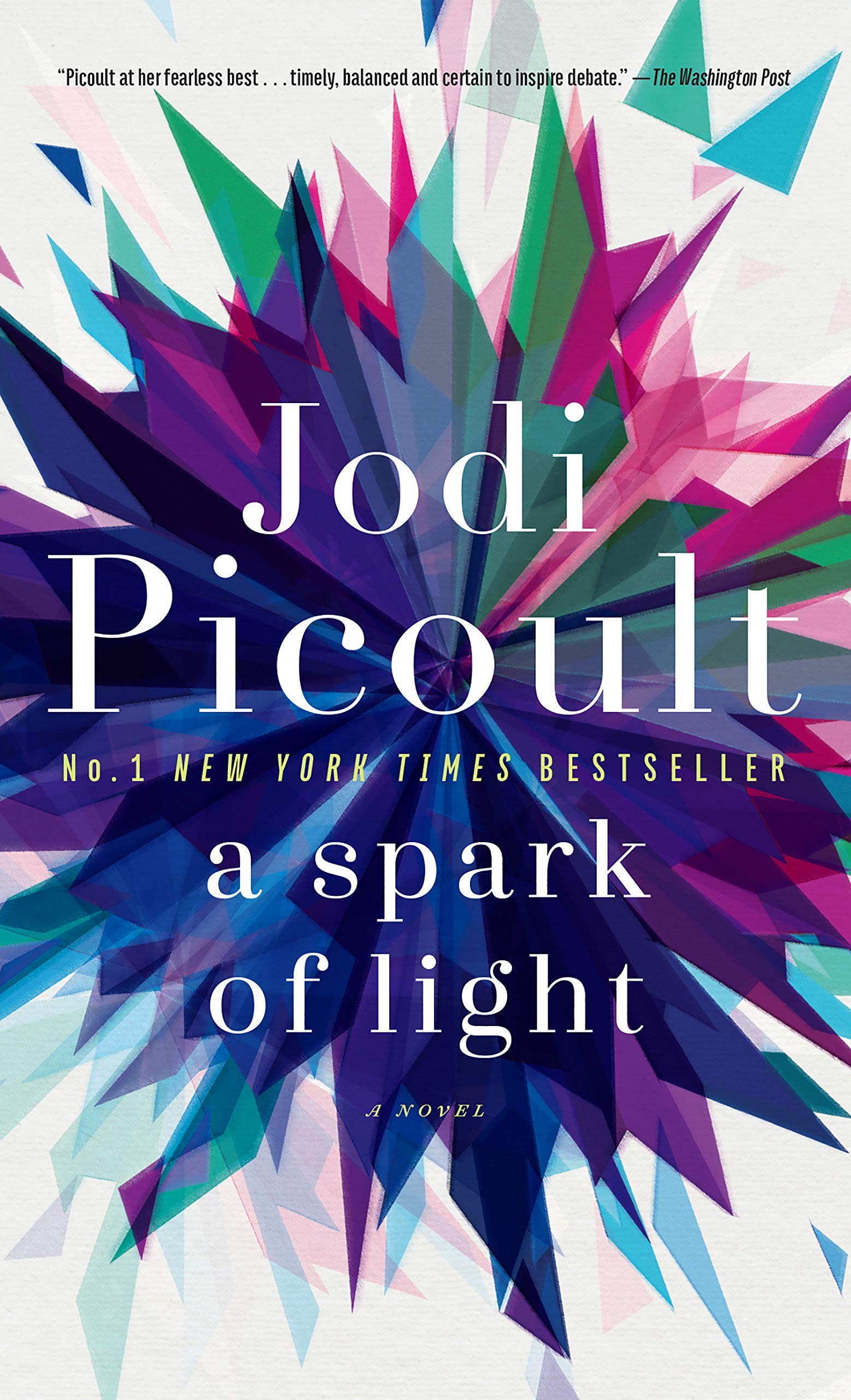 A spark of light | Jodi Picoult