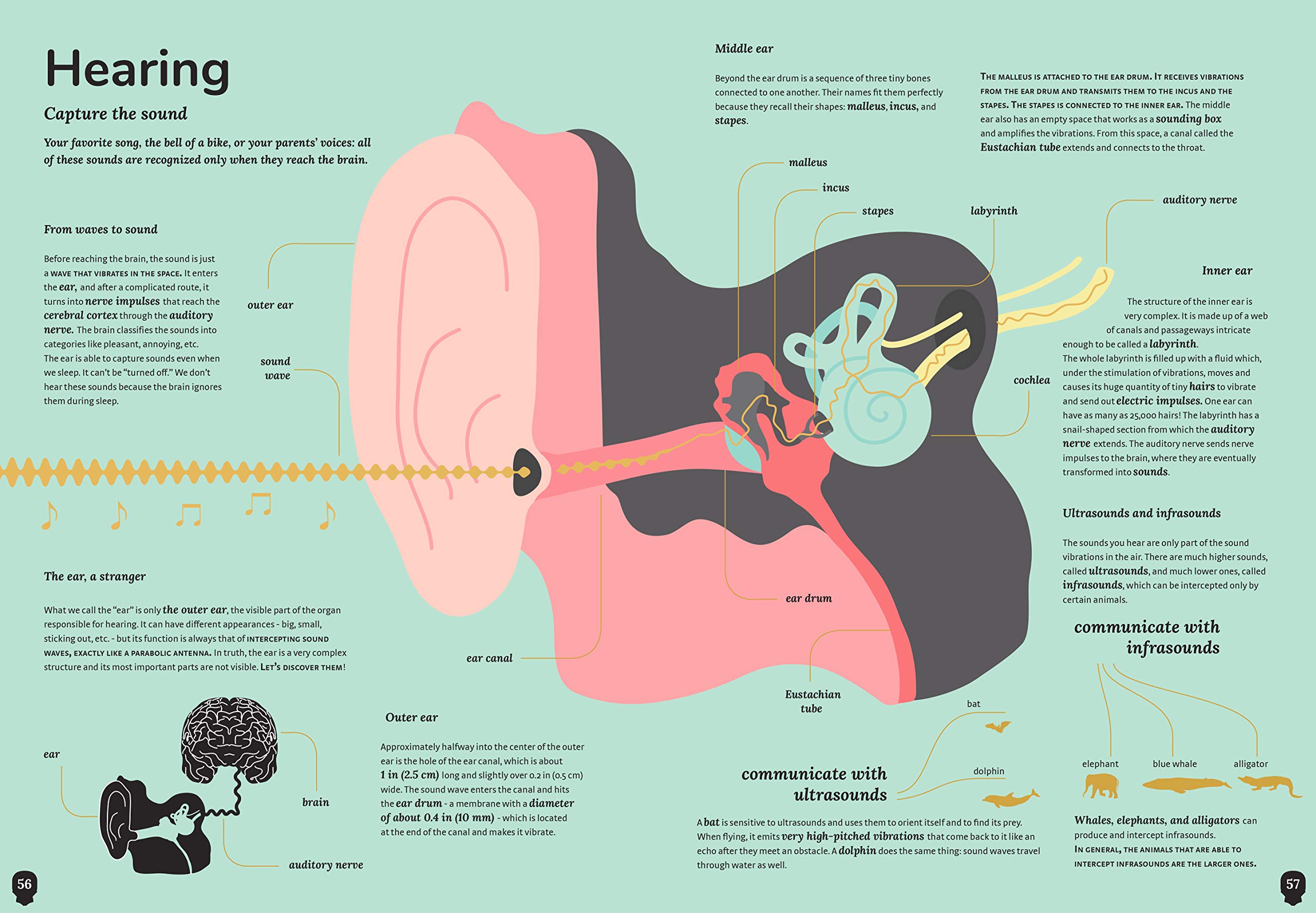 The Human Body | Cristina Peraboni