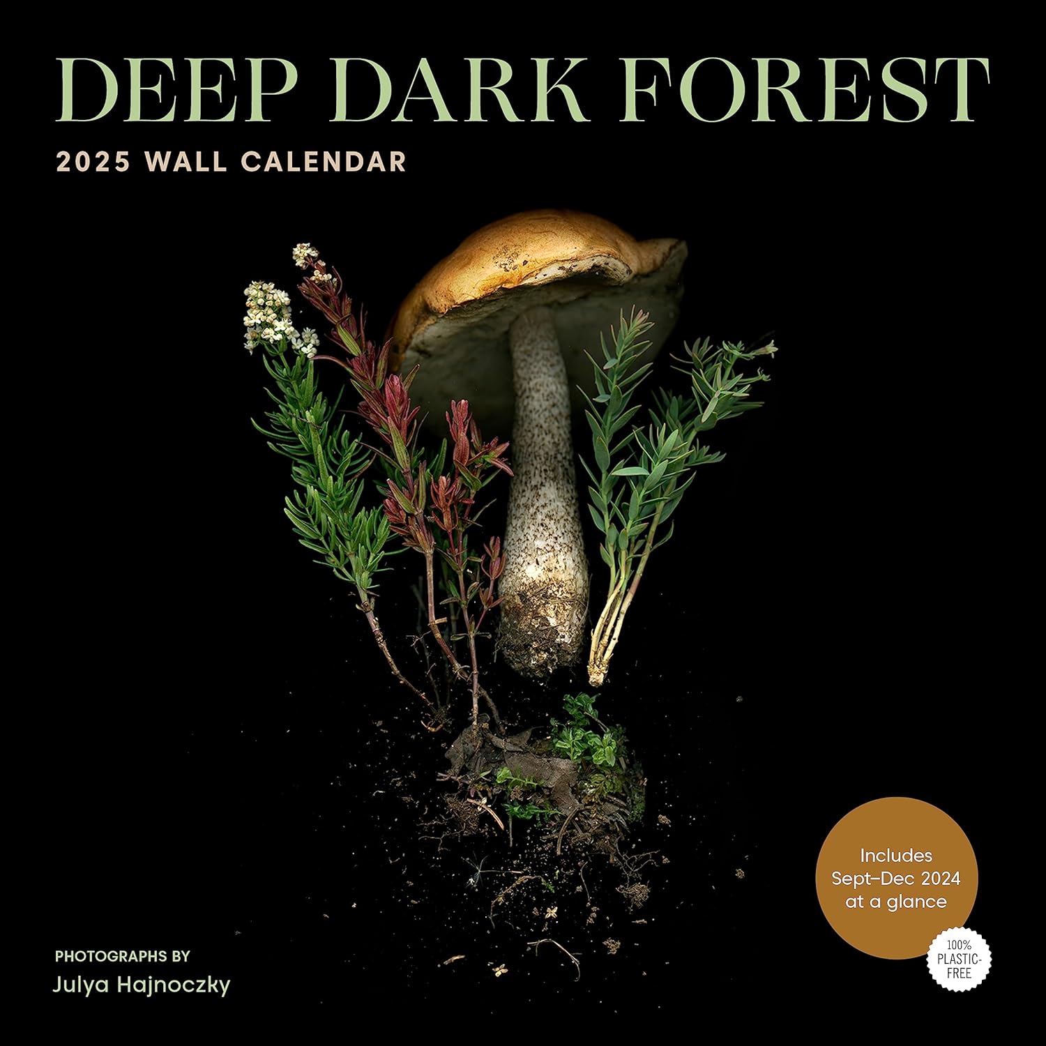 Calendar 2025 - Deep Dark Forest | Chronicle Books - 6 | YEO