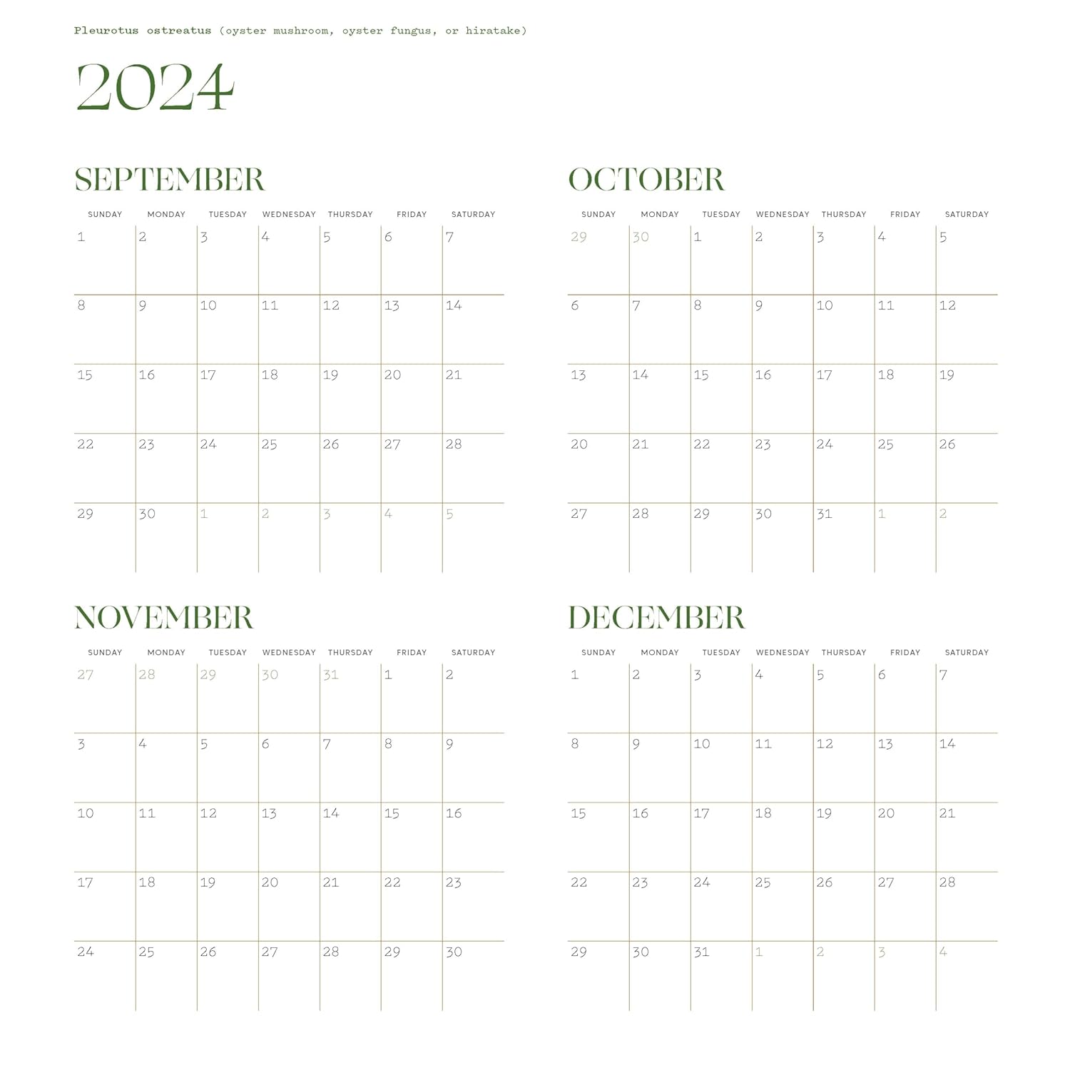 Calendar 2025 - Deep Dark Forest | Chronicle Books - 2 | YEO