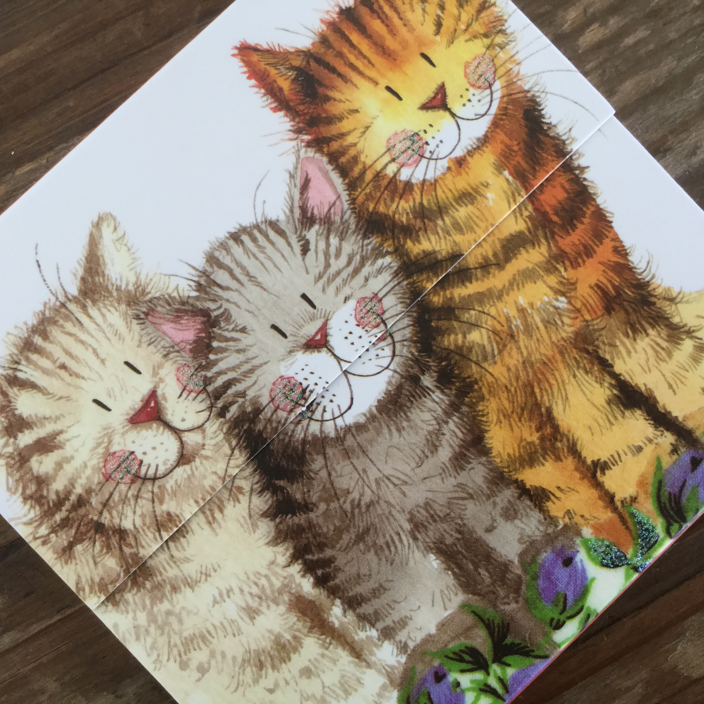 Carnet magnetic - Mini - Three Amigos Cat | Alex Clark