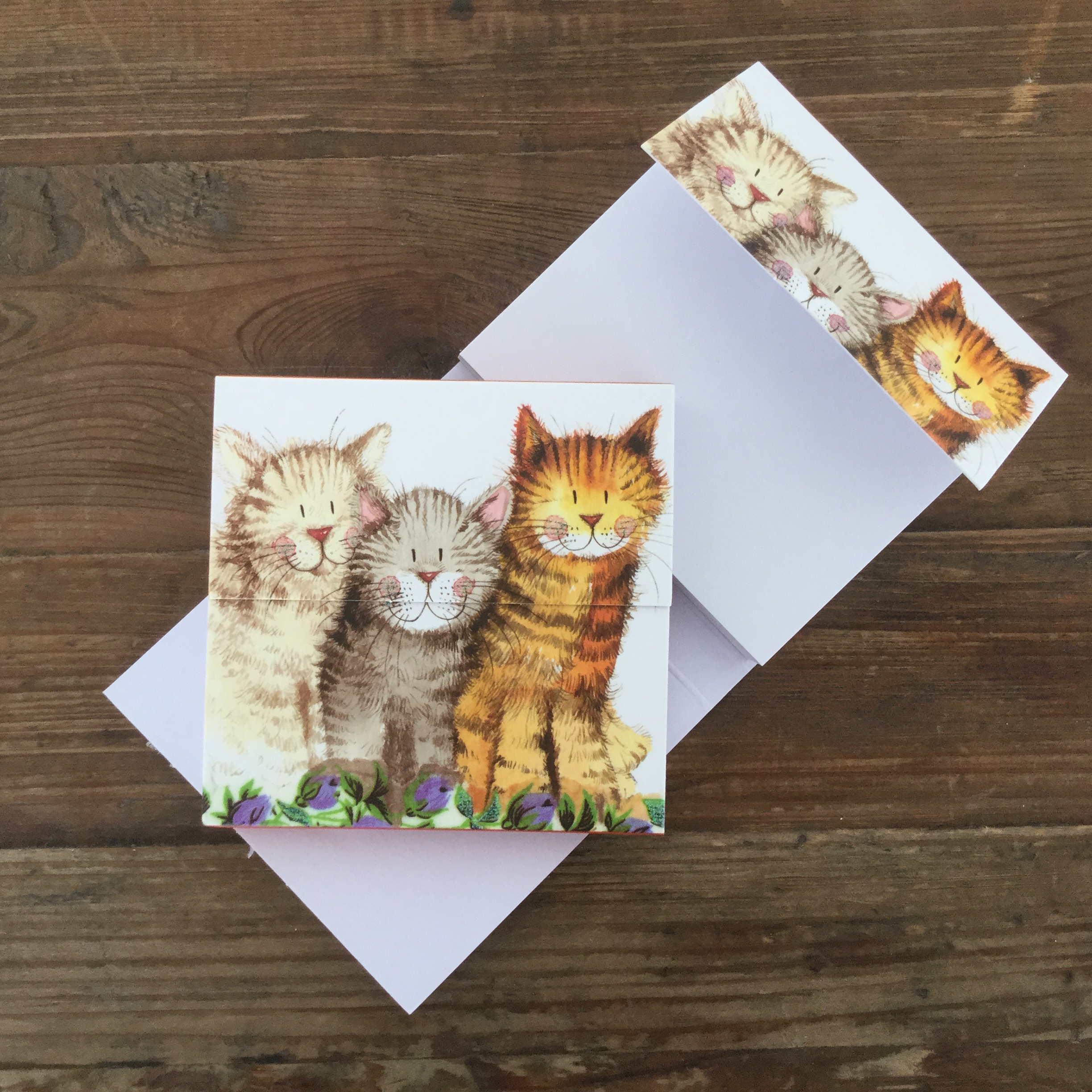 Carnet magnetic - Mini - Three Amigos Cat | Alex Clark - 1 | YEO