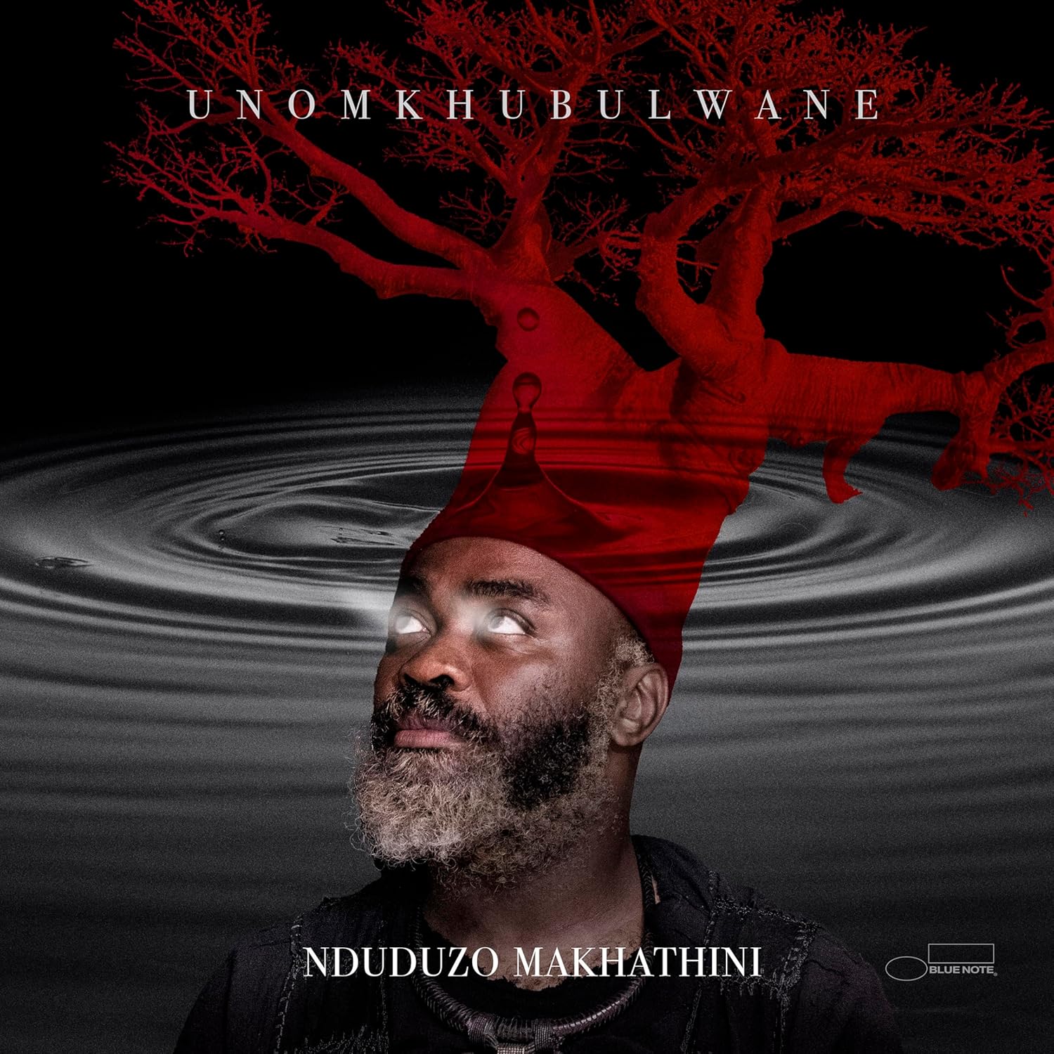 uNomkhubulwane - Vinyl | Nduduzo Makhathini - 1 | YEO