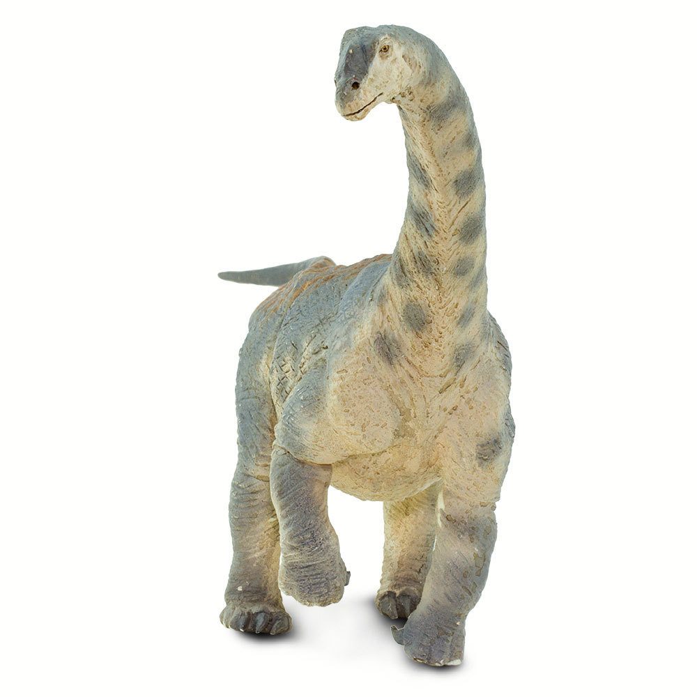 Figurina dinozaur - Camarasaurus | Safari