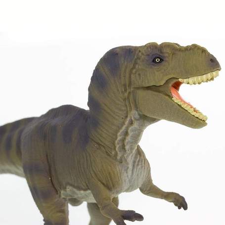 Figurina dinozaur - Tyrannosaurus Rex | Safari