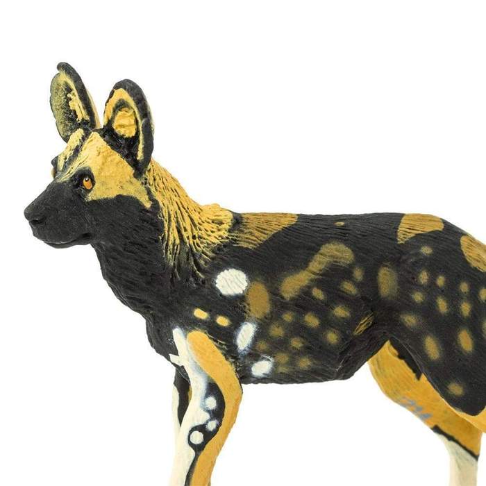 Figurina - Caine salbatic african | Safari