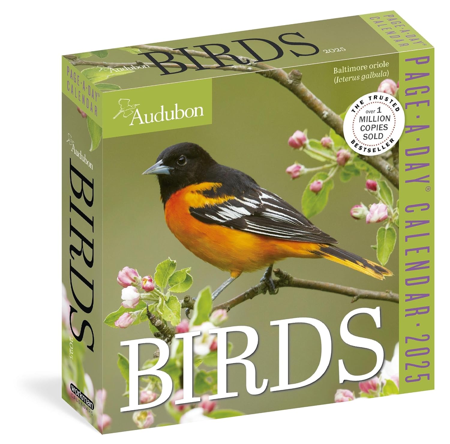 Audubon Birds | Little, Brown