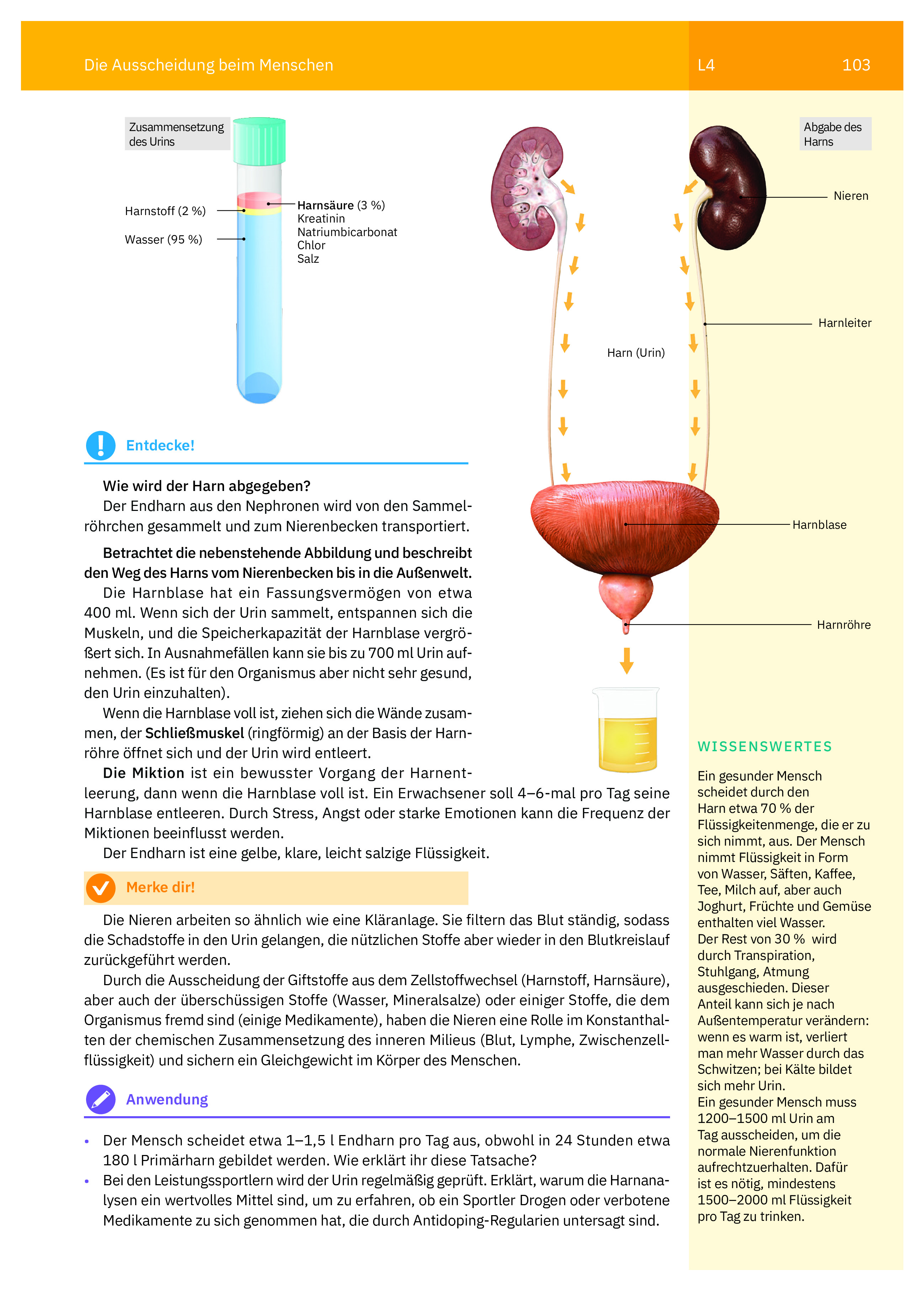 Manual de biologie. Clasa a VI-a (limba germana) | Irina Pop-Pacurar, Dorina Podar, Cristina Dudan - 9 | YEO