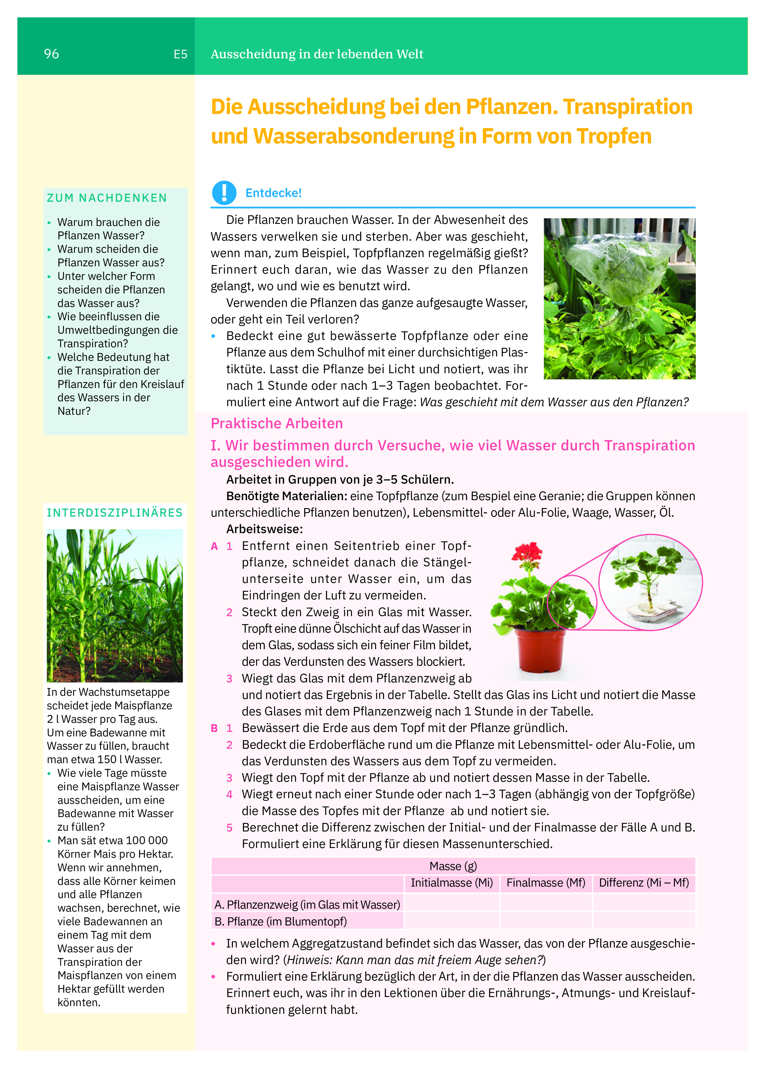 Manual de biologie. Clasa a VI-a (limba germana) | Irina Pop-Pacurar, Dorina Podar, Cristina Dudan - 2 | YEO