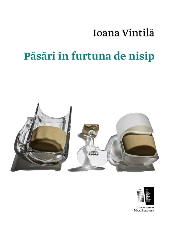 Pasari in furtuna de nisip | Ioana Vintila