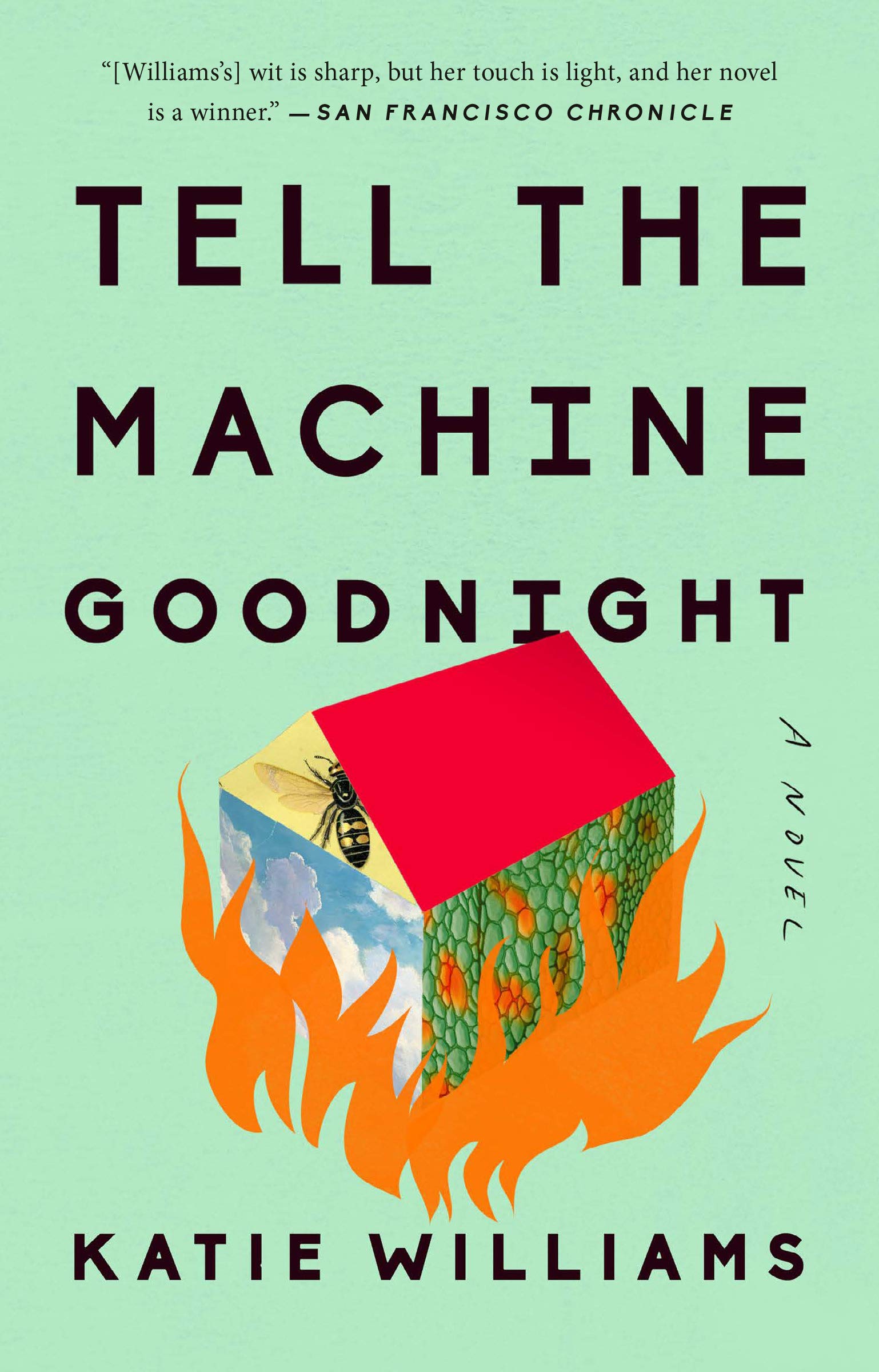 Tell the Machine Goodnight | Katie Williams