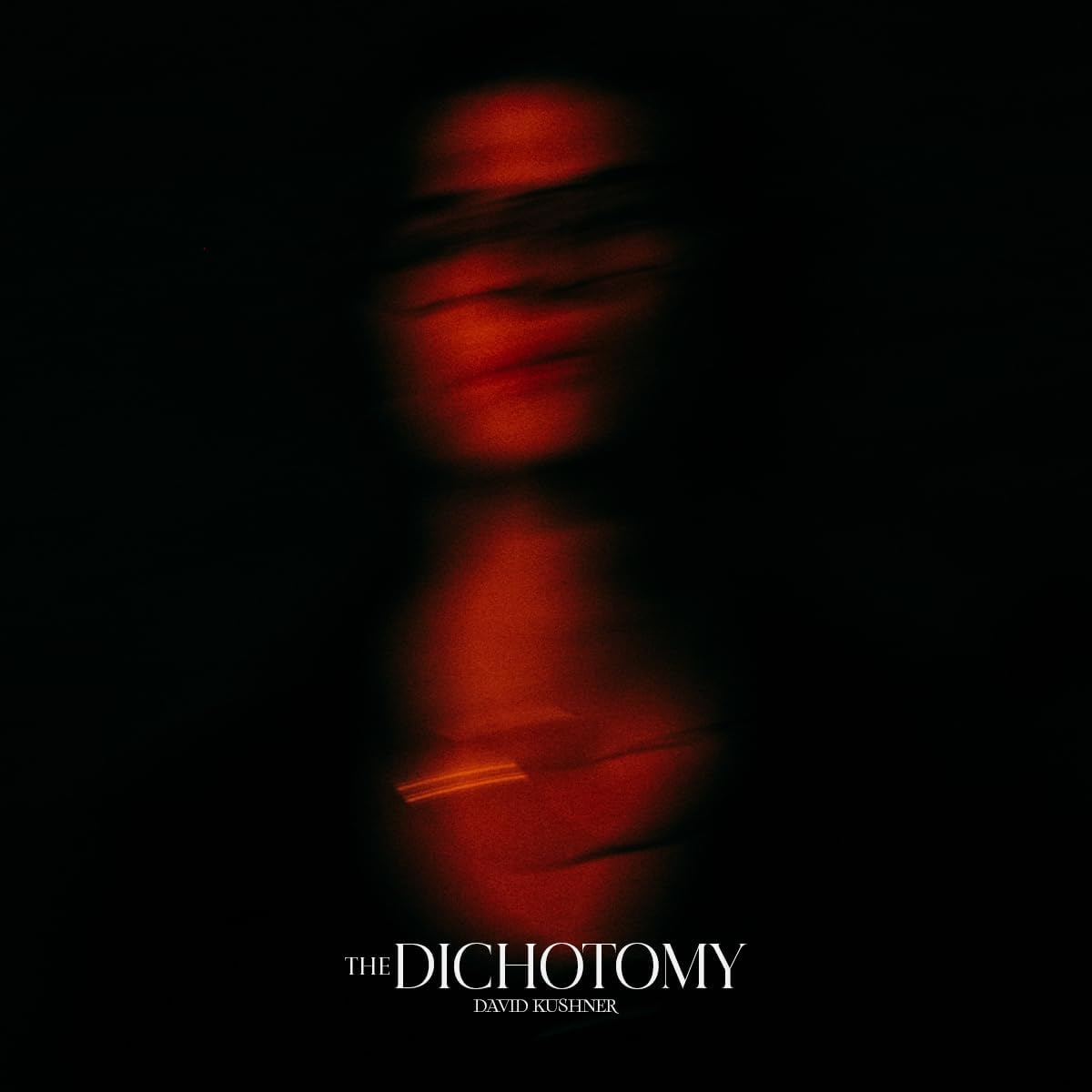 The Dichotomy - Vinyl | David Kushner - 1 | YEO