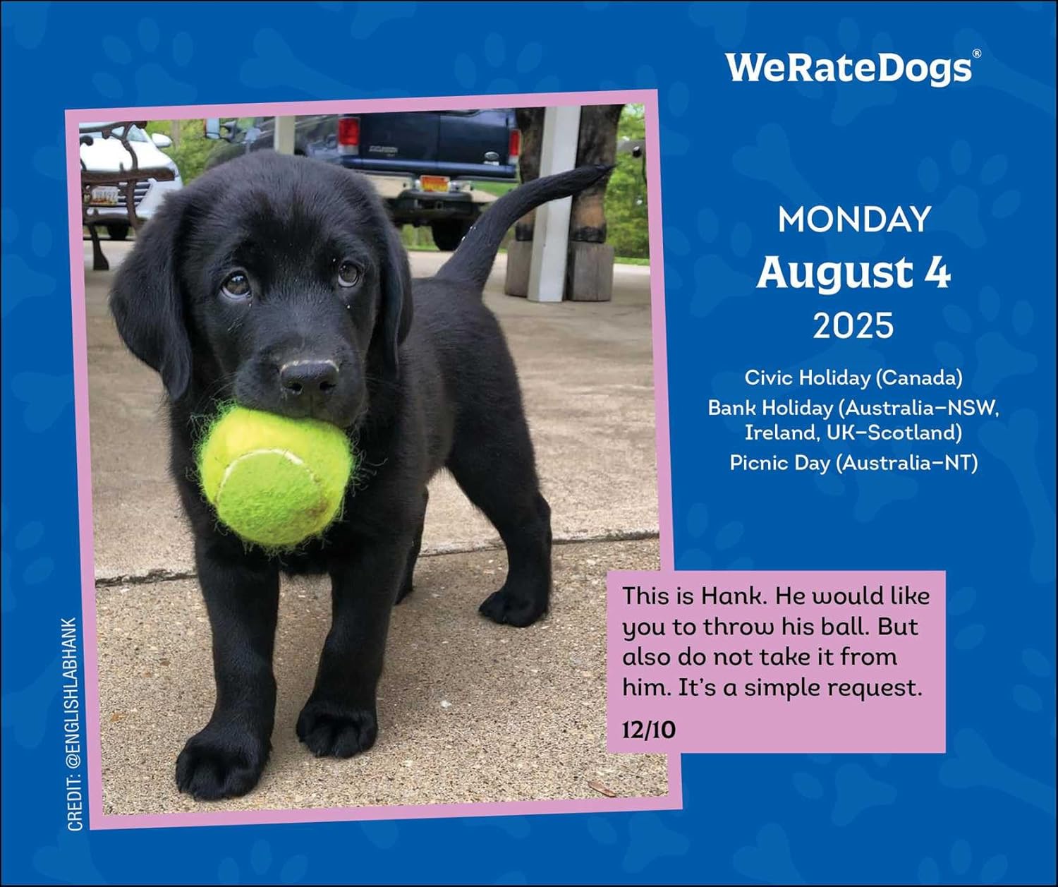 WeRateDogs 2025 Day-to-Day Calendar | Andrews McMeel Publishing - 1 | YEO