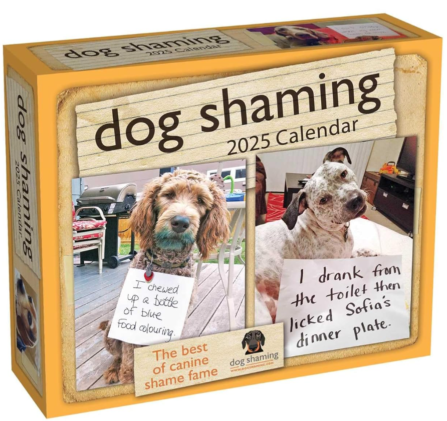 Dog Shaming 2025 Day-to-Day Calendar | Andrews McMeel Publishing - 4 | YEO