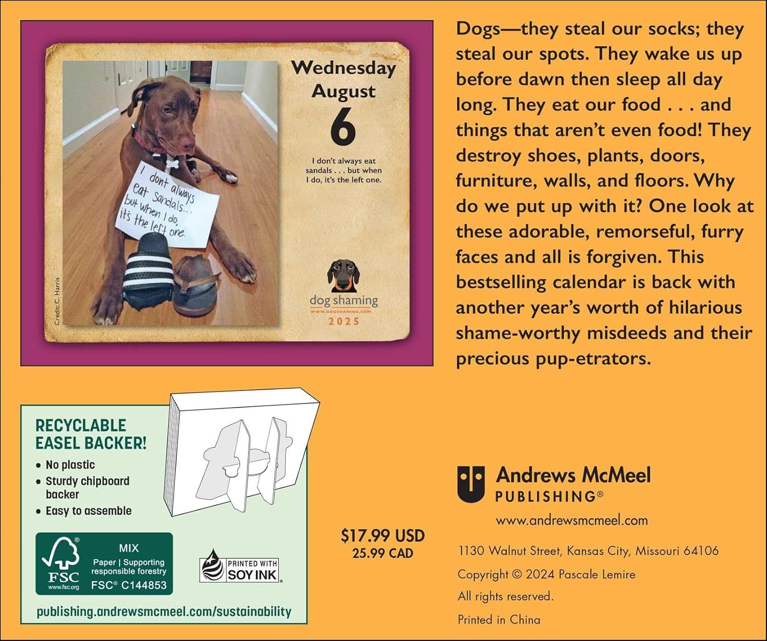 Dog Shaming 2025 Day-to-Day Calendar | Andrews McMeel Publishing