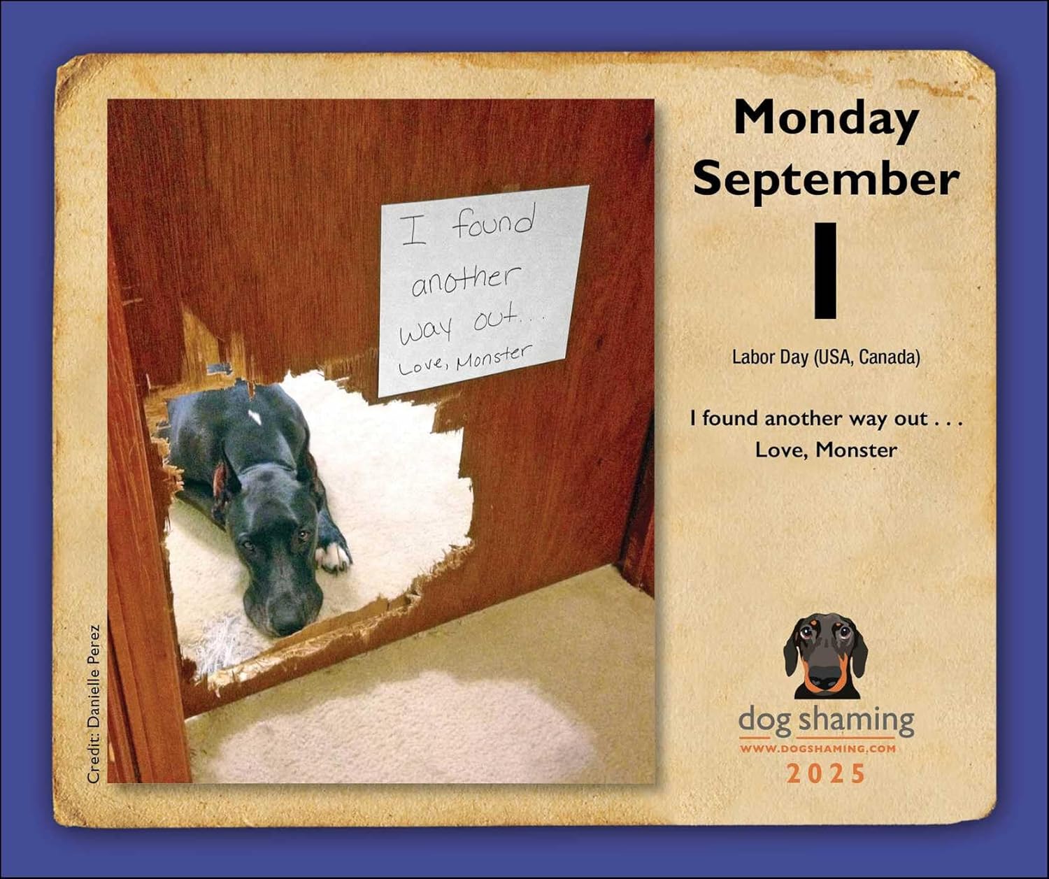 Dog Shaming 2025 Day-to-Day Calendar | Andrews McMeel Publishing - 3 | YEO