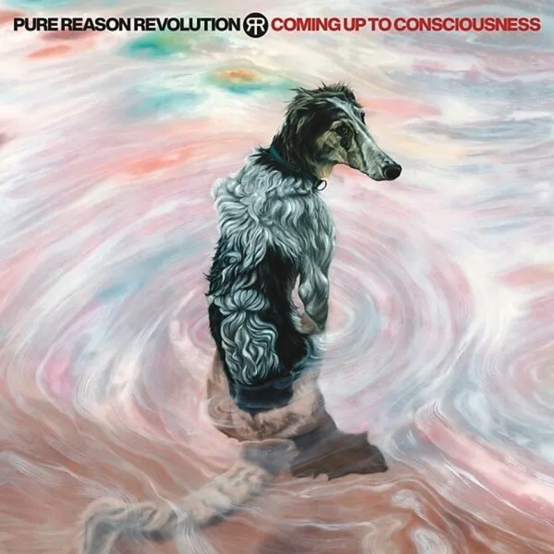 Coming Up To Consciousness (CD + DVD) | Pure Reason Revolution