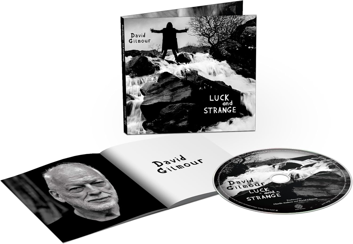 Luck And Strange | David Gilmour